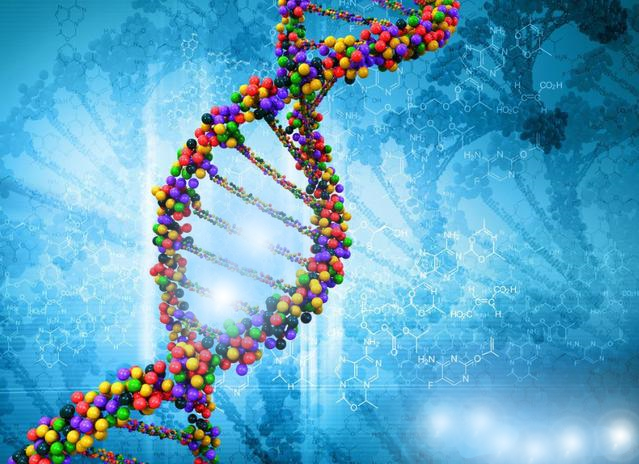 高龄做三代试管婴儿成功率很低吗?